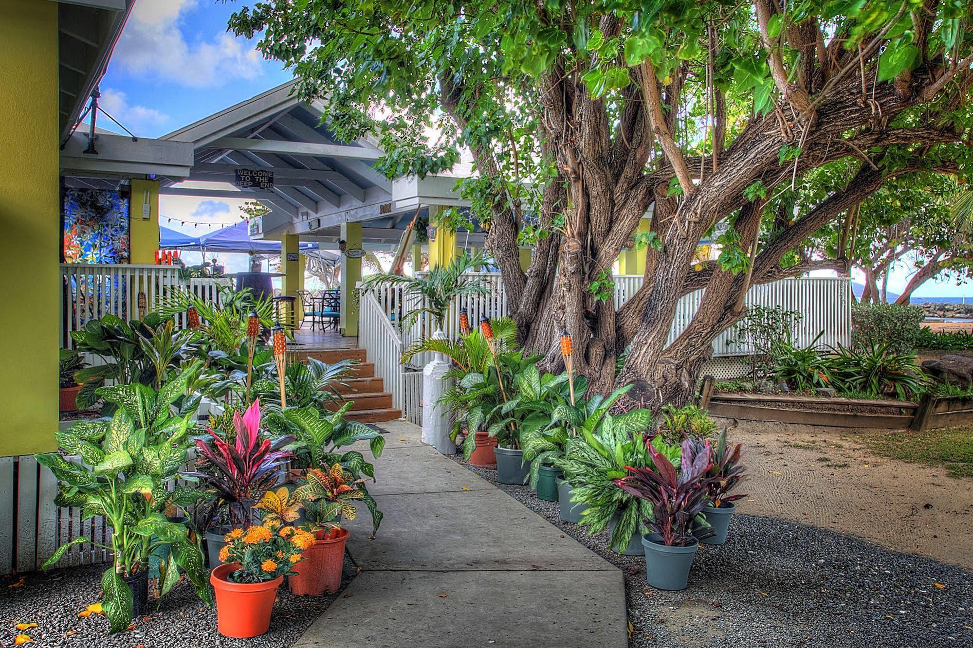 塔玛林德瑞夫滨海Spa度假酒店 Christiansted 外观 照片
